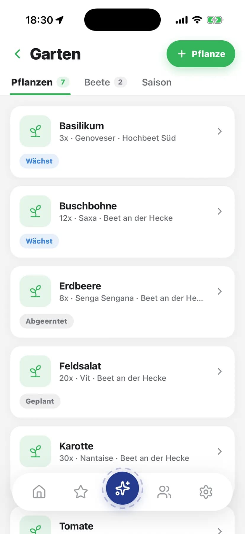 Garten: Hochbeet Süd